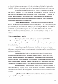 www.speros.lt